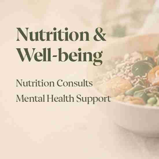 Pregnancy and postnatal nutrition and wellbeing support for women in T Nagar, Chennai